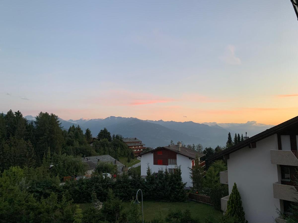 La Jacinthe De Crans Daire Dış mekan fotoğraf