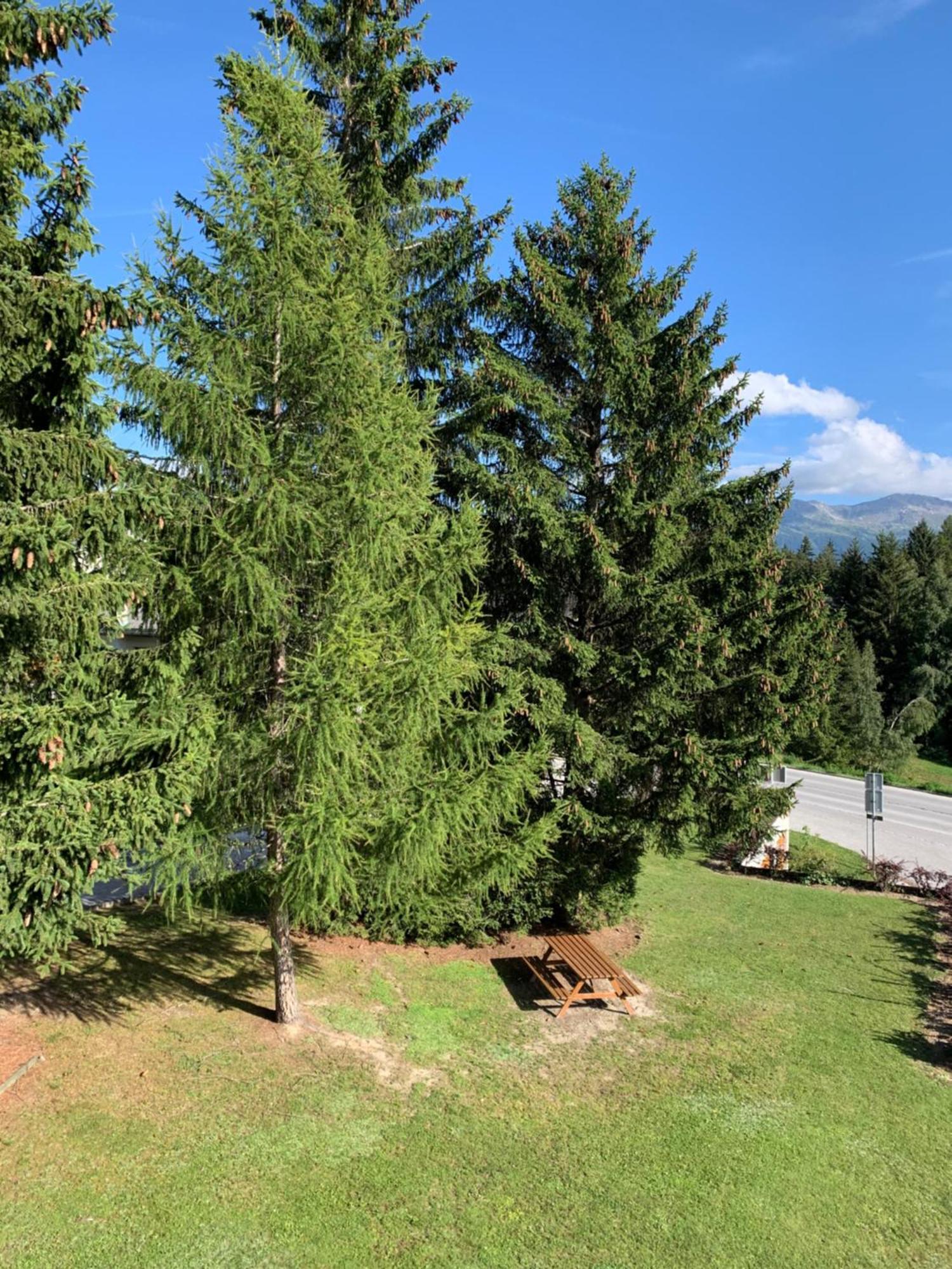 La Jacinthe De Crans Daire Dış mekan fotoğraf